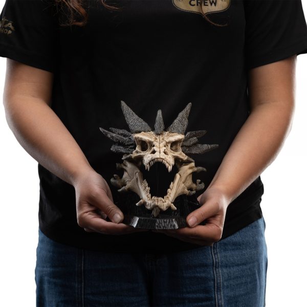 Weta - Smaug Skull Mini - Image 2