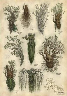 Weta - Ents of Fangorn Forest - Art Print